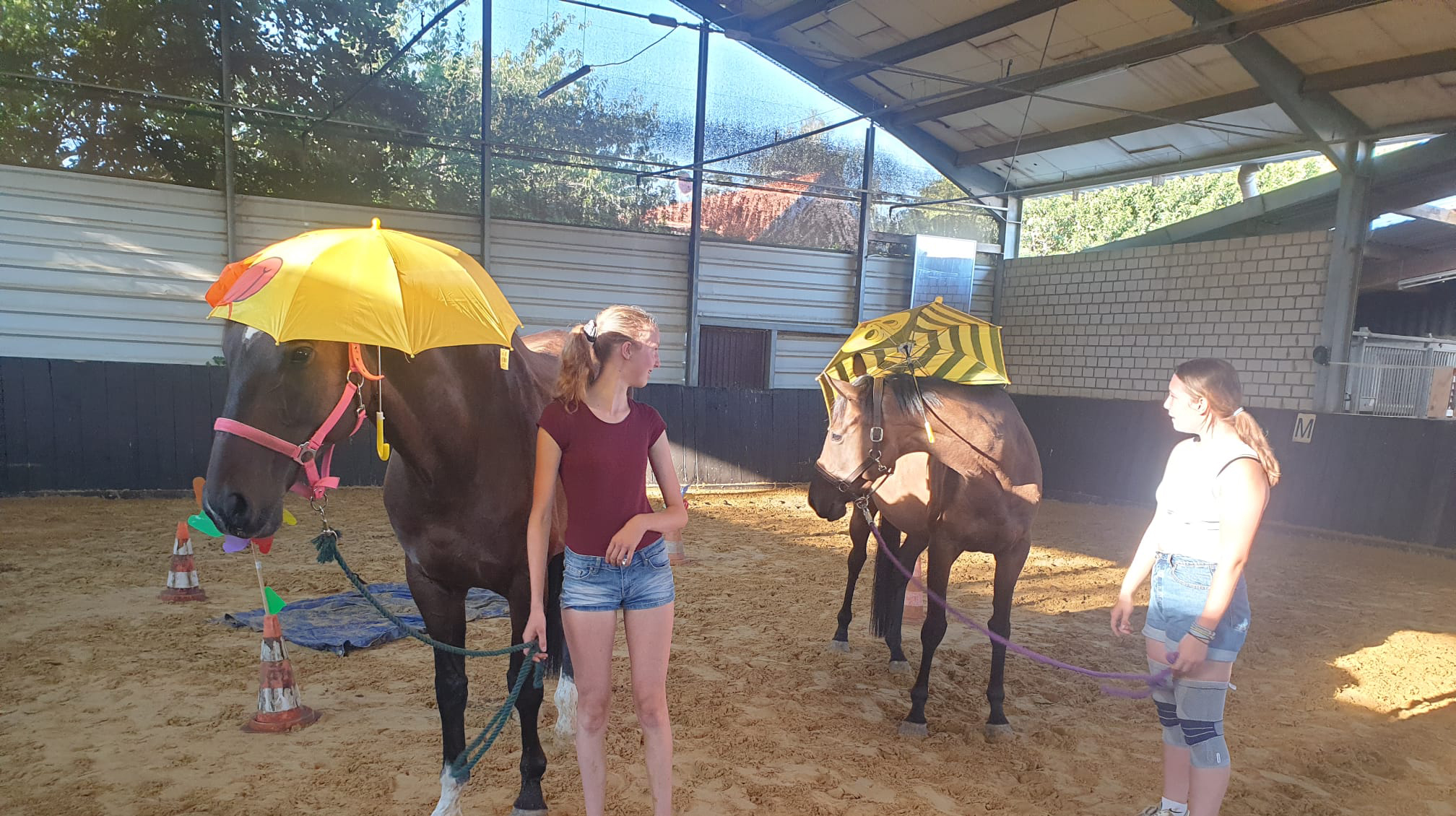 reiten kempen caro hell