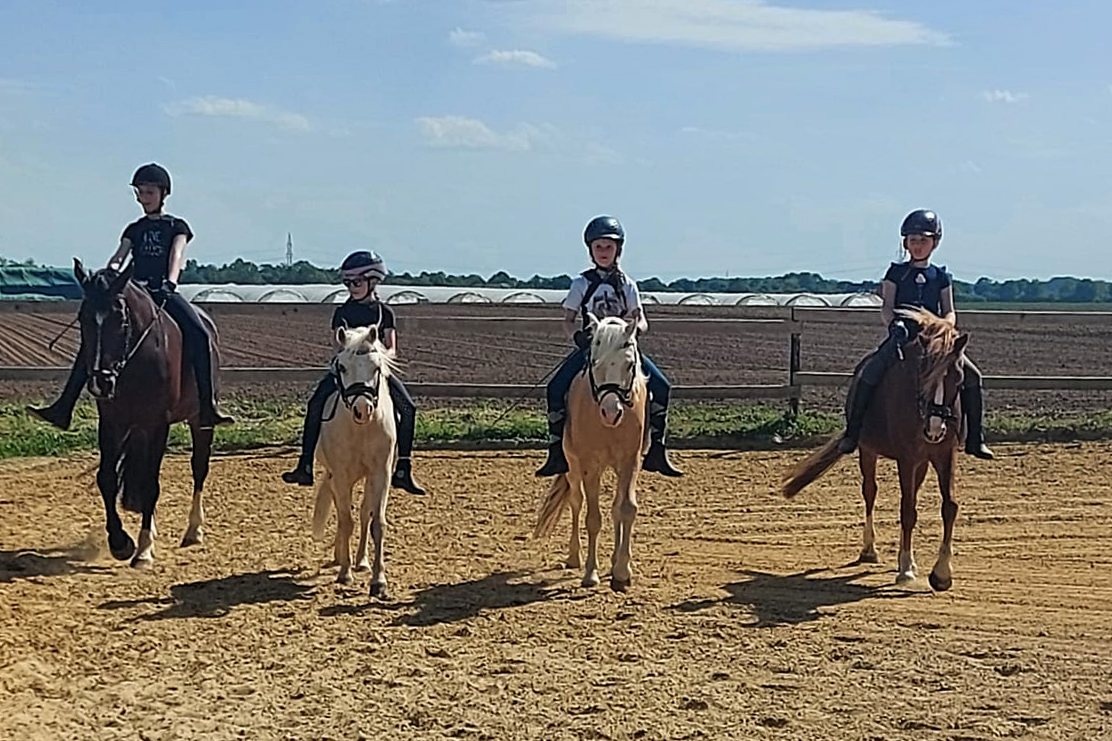 reiten unterricht