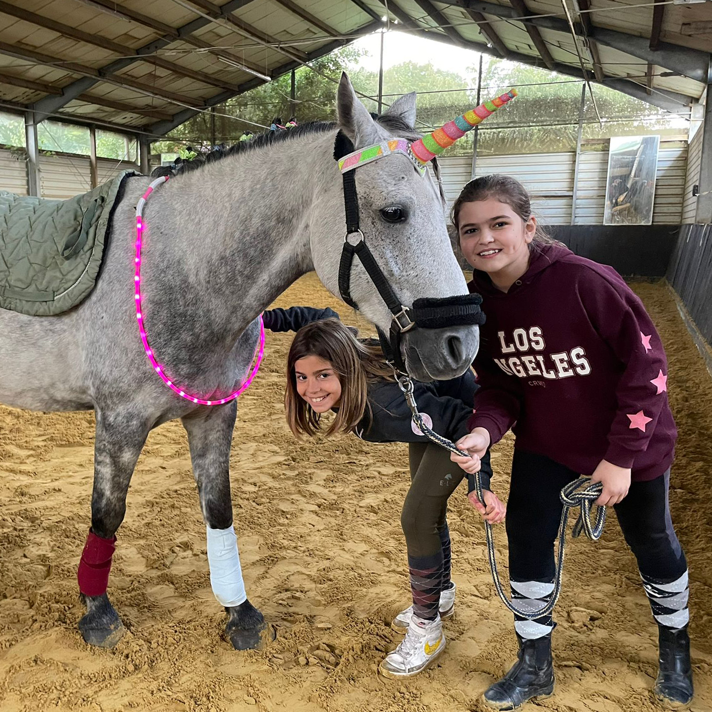 kindergeburrtstag reitstall