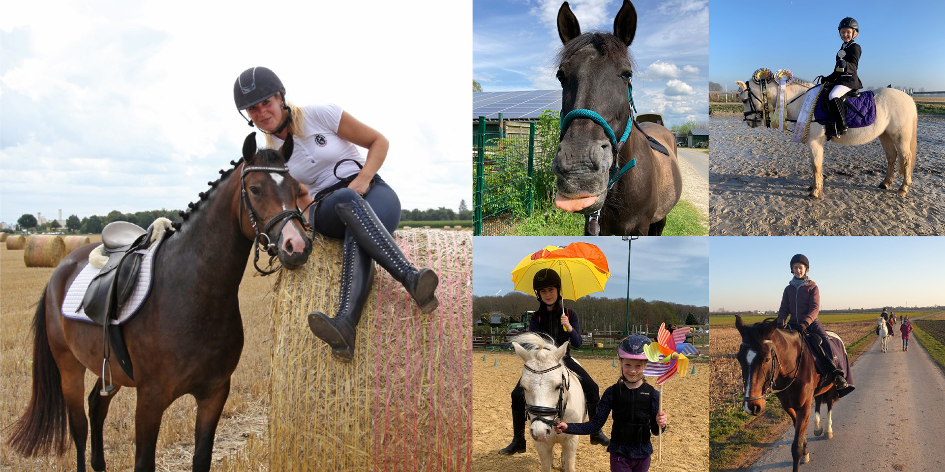 pony reitschule
