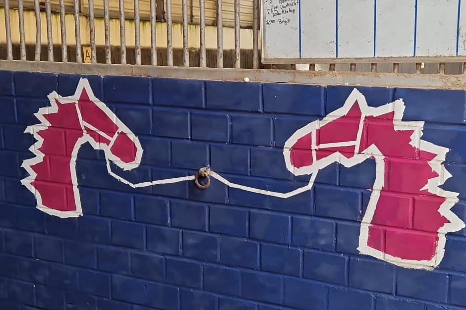 ponywelt boveshof kempen