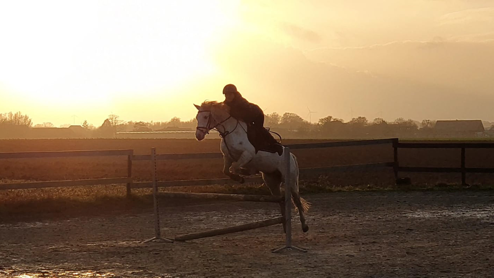 reiten kempen caro hell