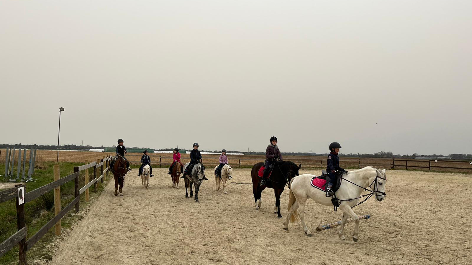 reiten kempen caro hell