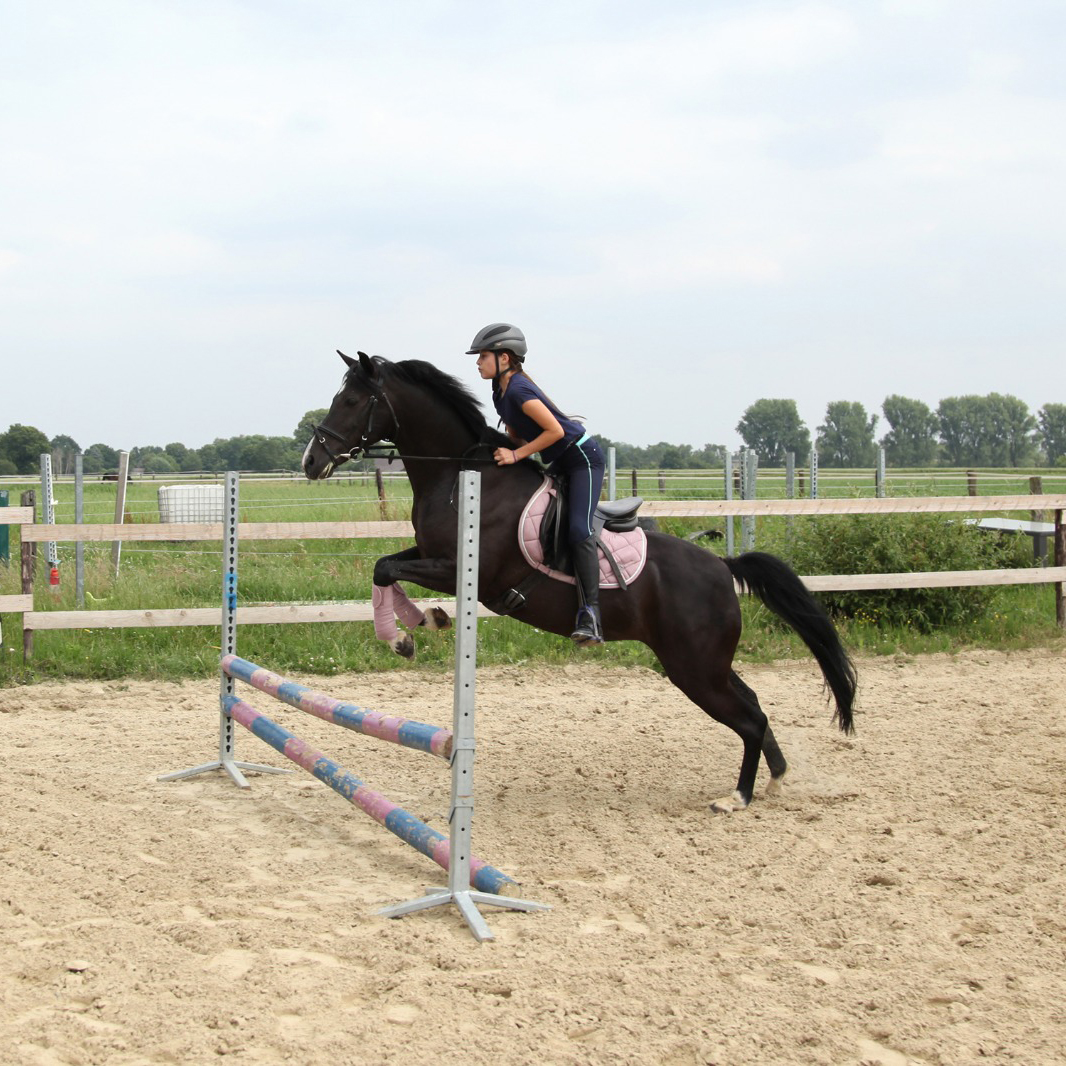 springunterricht kempen