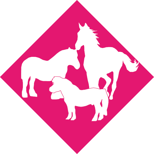 reitschule team caro