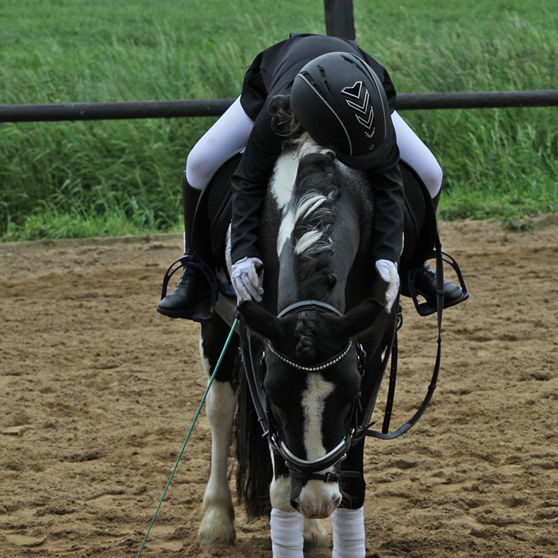 reitschule team caro wachtendonk
