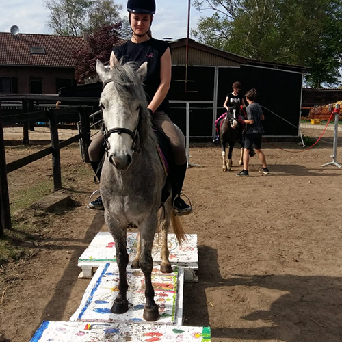reitschule kempen team caro