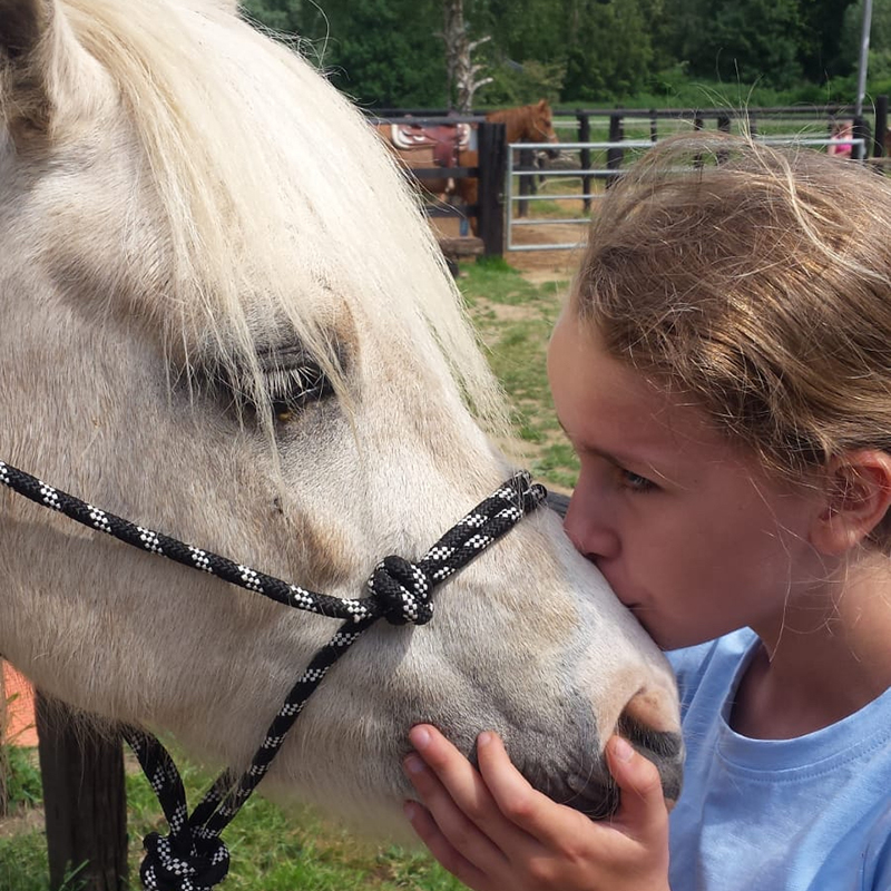 reitschule wachtendonk team caro