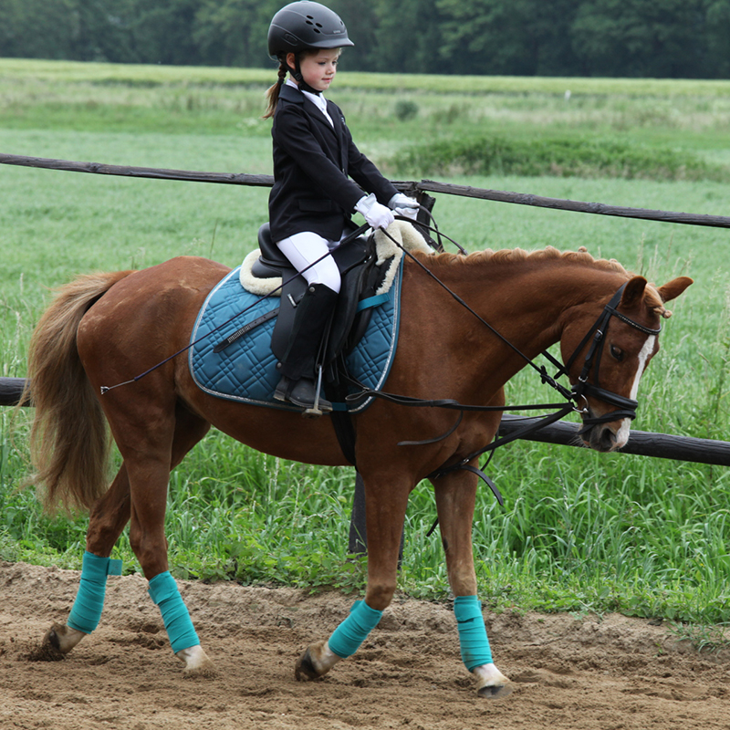 reitschule kempen team caro