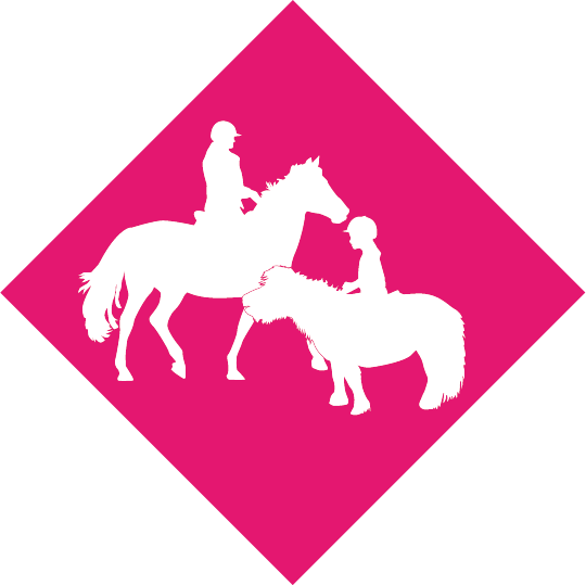 reitstunde krefeld fn geprüufter reitlehrer