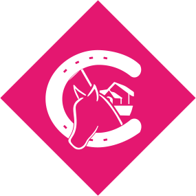 reitschule team caro